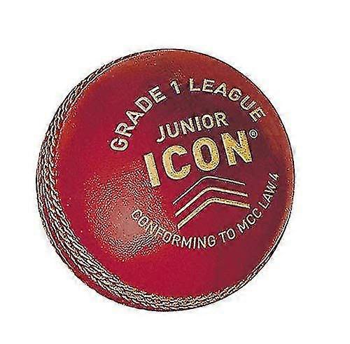 Palle Da Cricket GM Training & Practice – Simili Alla Pelle, Con Cuciture Rialzate, Per Allenamento E Bowling