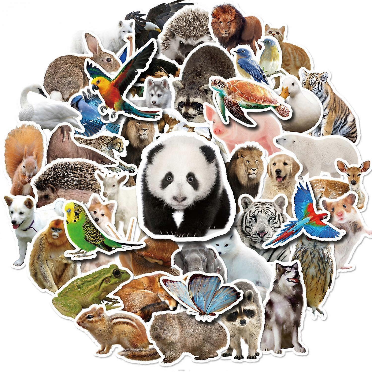 50 animal stickers