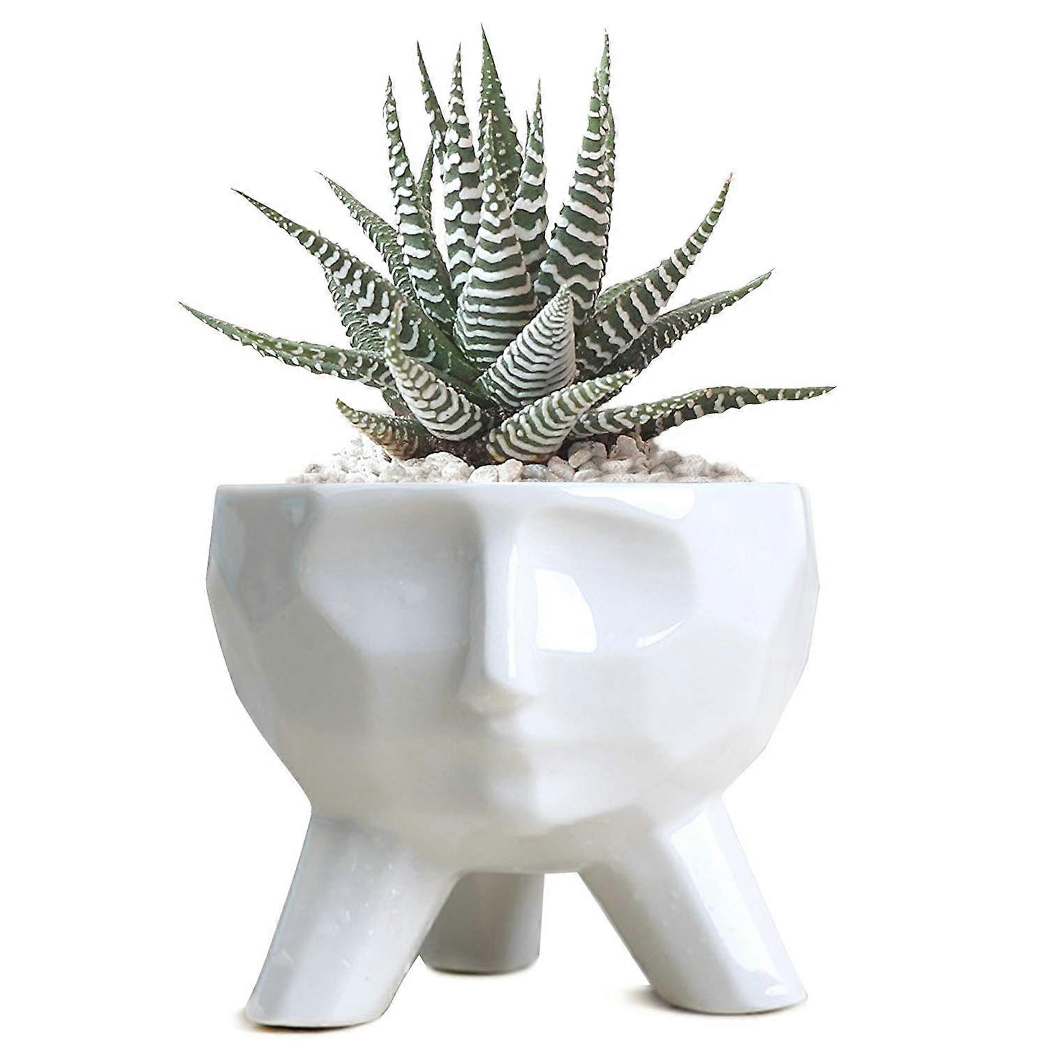Ceramic Planter Pot for Succulent Bonsai