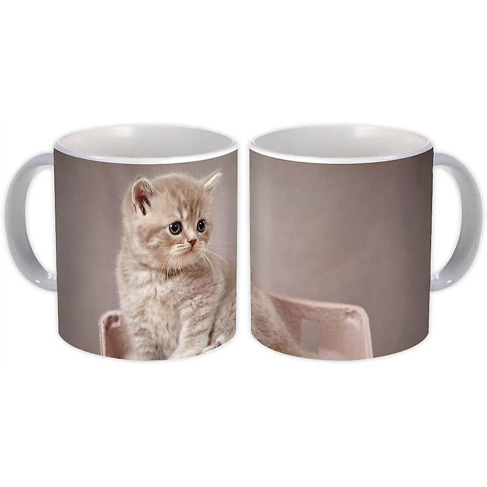Gift Mug: Cat Kitten