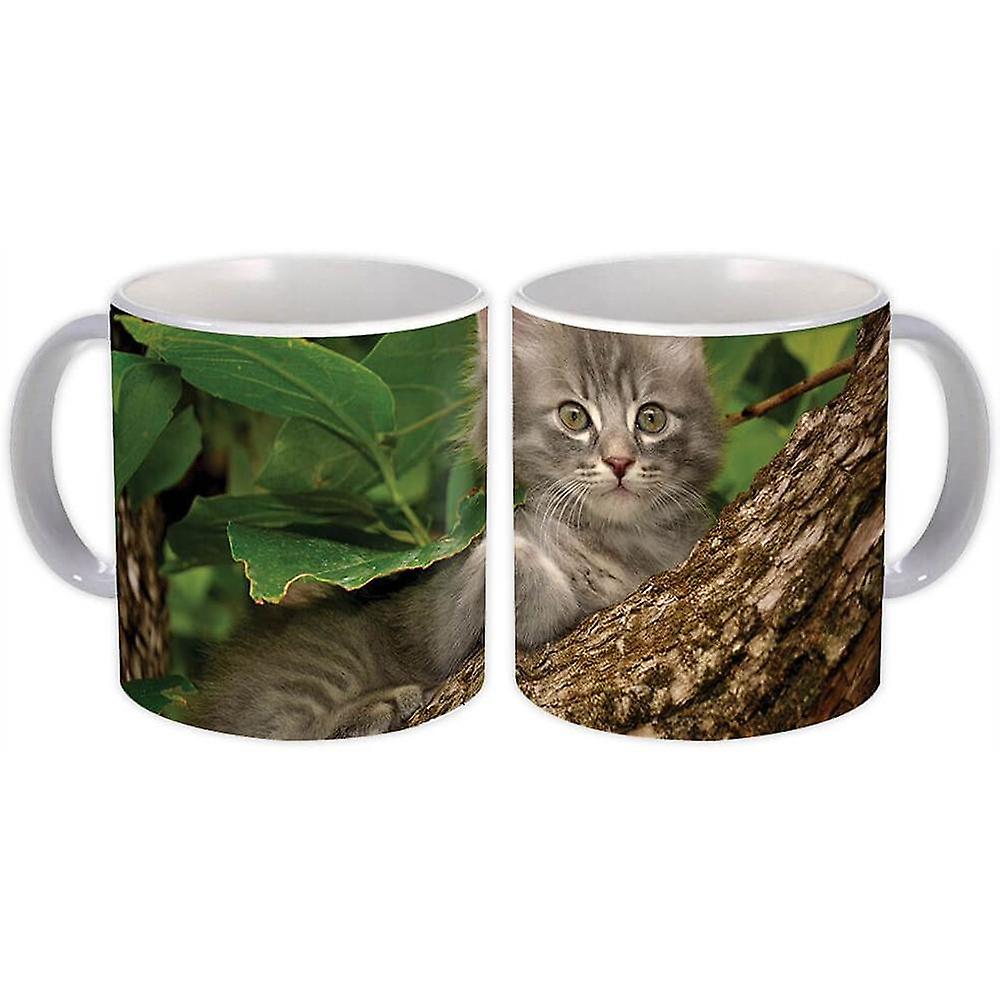 Gift Mug: Cat Animal