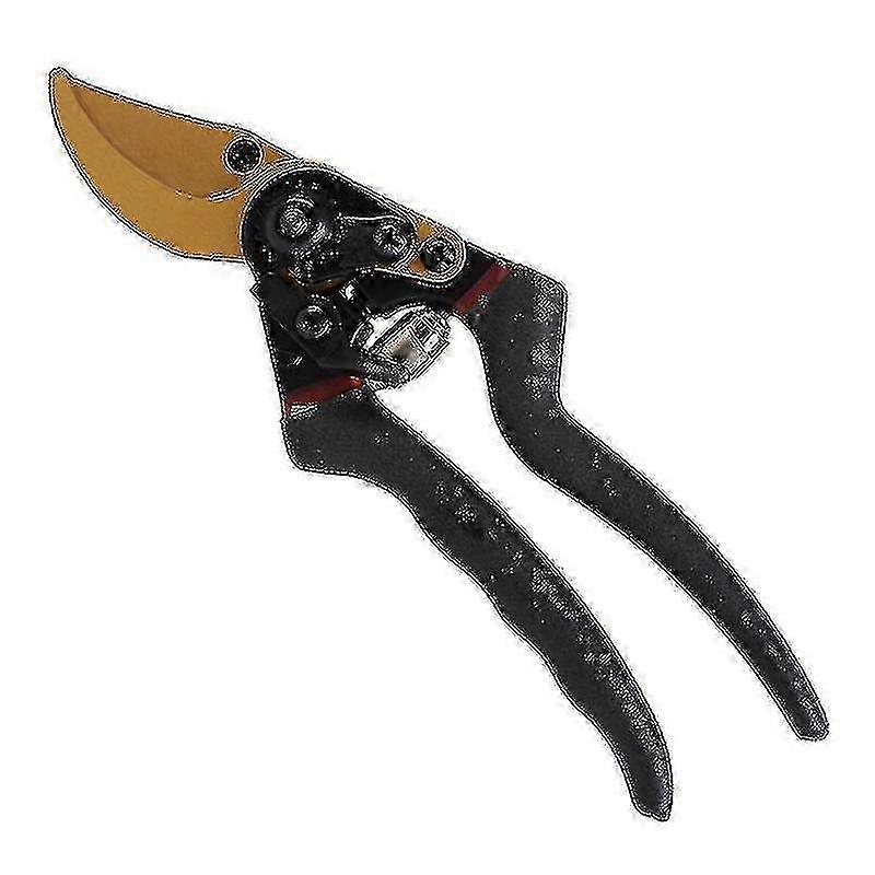 Professional Bypass Pruning Shears with Safety Lock, Sharp Garden Scissors (1pc, Black)