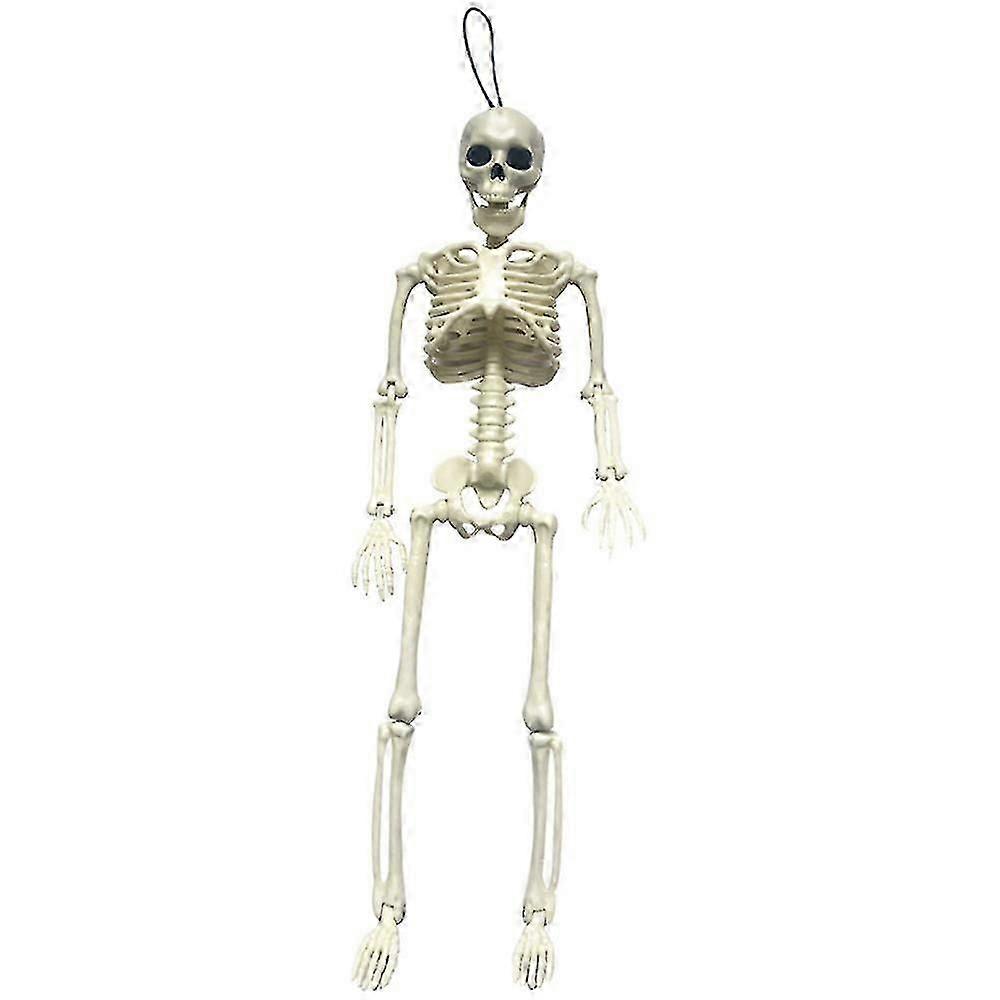 Life-Size Poseable Halloween Skeleton  Spooky Party Decoration Prop