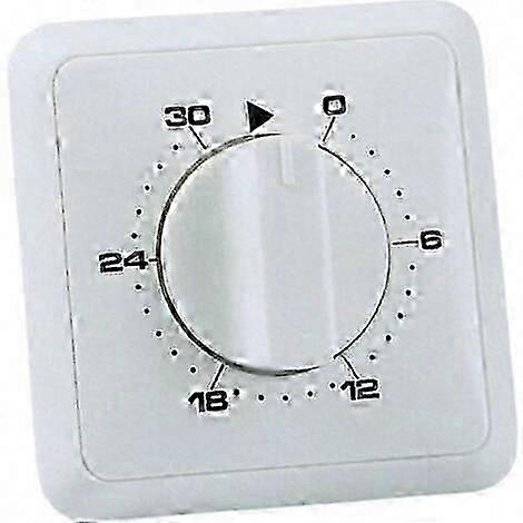 Analoger Unterputz-Timer mit 30-minütigem Tagesprogramm