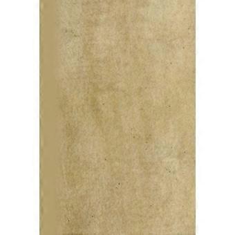 Contemplatio Totivs Vitae Et Passionis Domini Nostri Iesv Christi - Albrecht Drer - Paperback - en Book