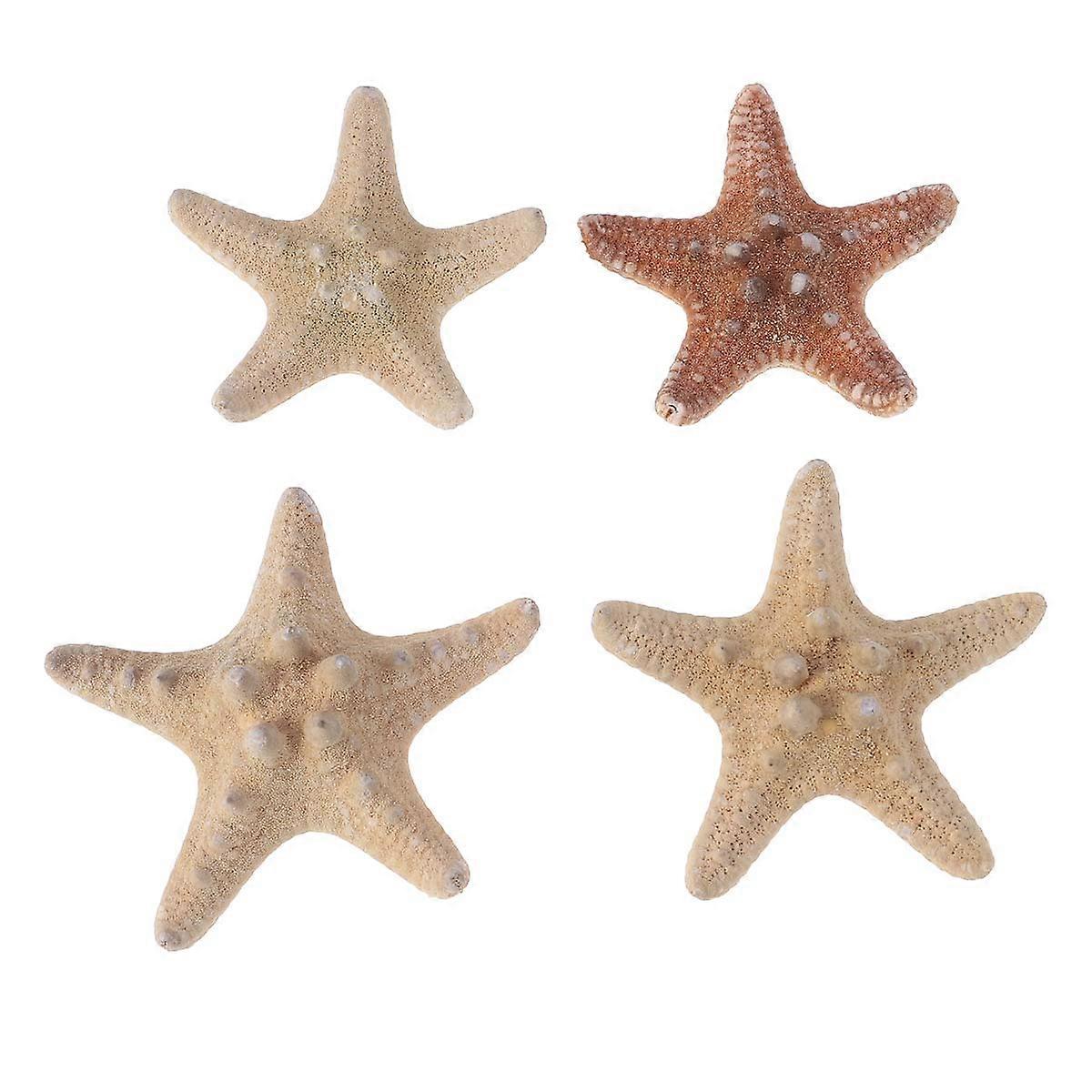 Sea Star DIY Beach Decor for Wedding 12Pcs Assorted