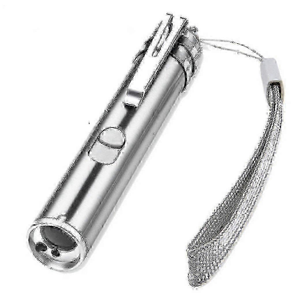 Usb Rechargeable Pet Toys: Cat Training Laser Pointer & LED Flashlight