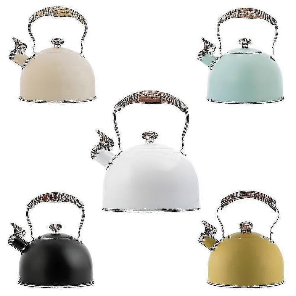 Tea Kettle with Loud Whistle 2.5L for Induction Cooktop
