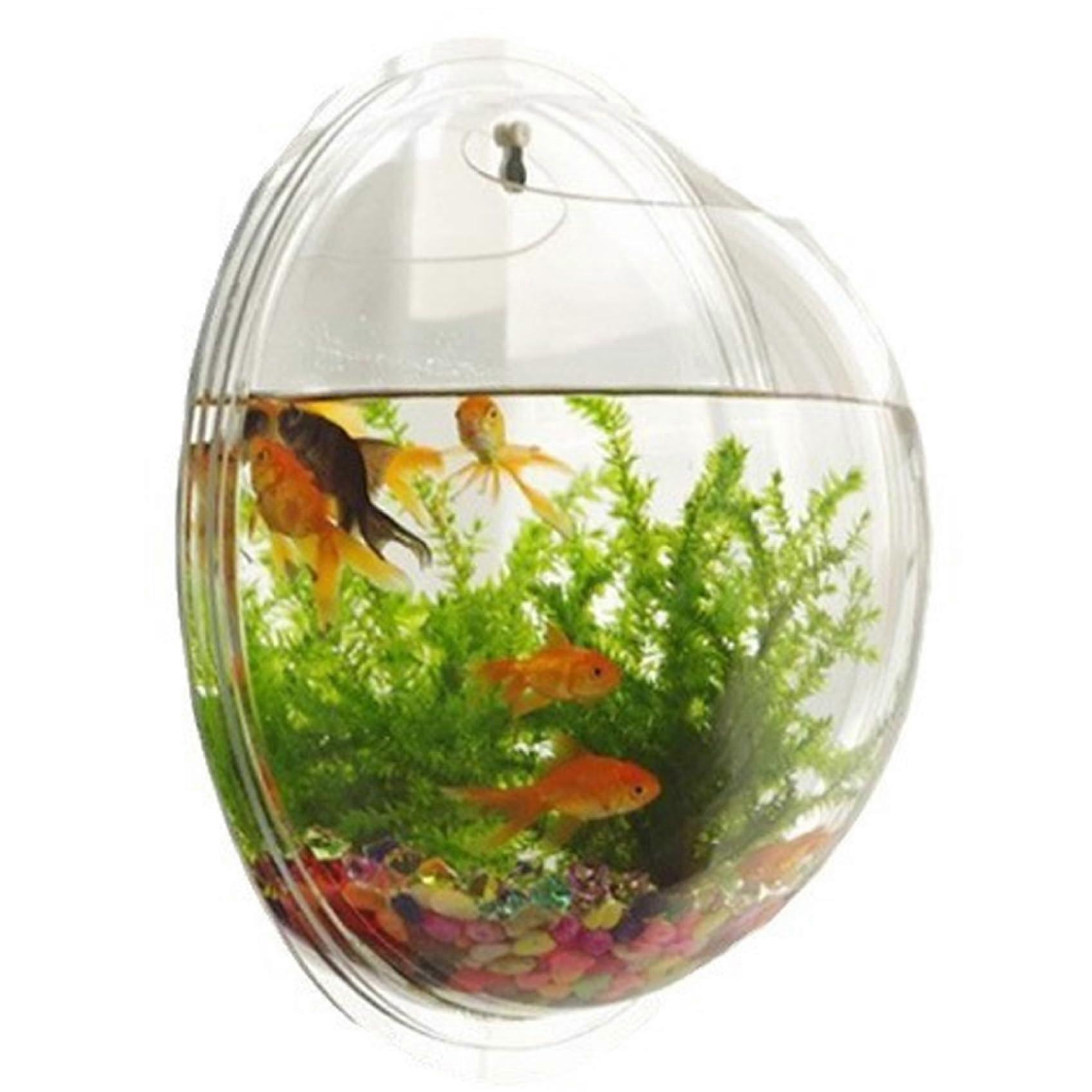 Wall Mounted Fish Tank Clear ImpactResistant Acrylic Bowl SpaceSaving Decorative Hydroponic Display