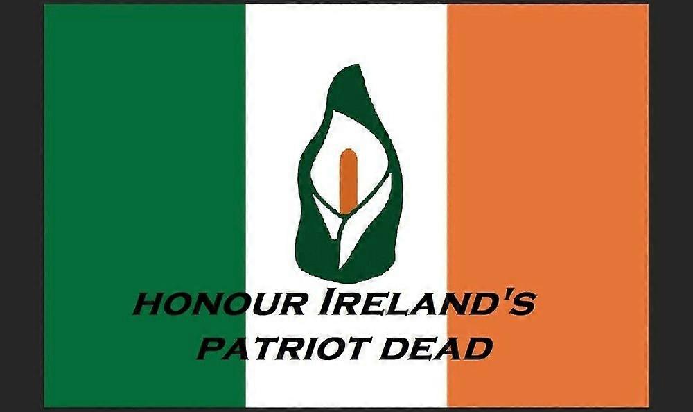 Irish Repub an Flag ZY3793
