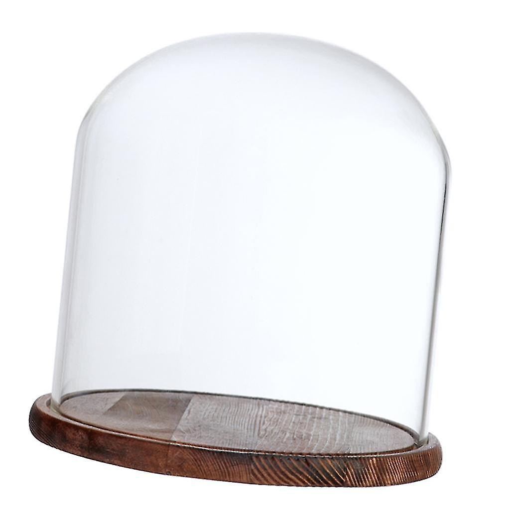 装飾的な明確なクローシェベル多肉植物テラリウム植物は木製ベースでカバーする - E