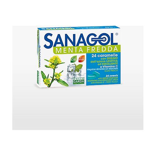 Sanagol cold mint 24 sweets