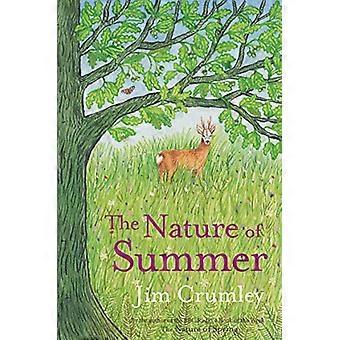 The Nature of Summer