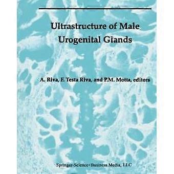 Ultrastructure Of The Male Urogenital Glands Prostate Seminal Vesicles Ure - Springer Nature B.V