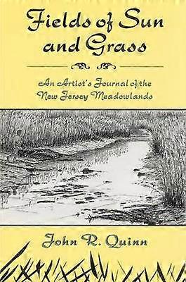 Fält av sol och gräs