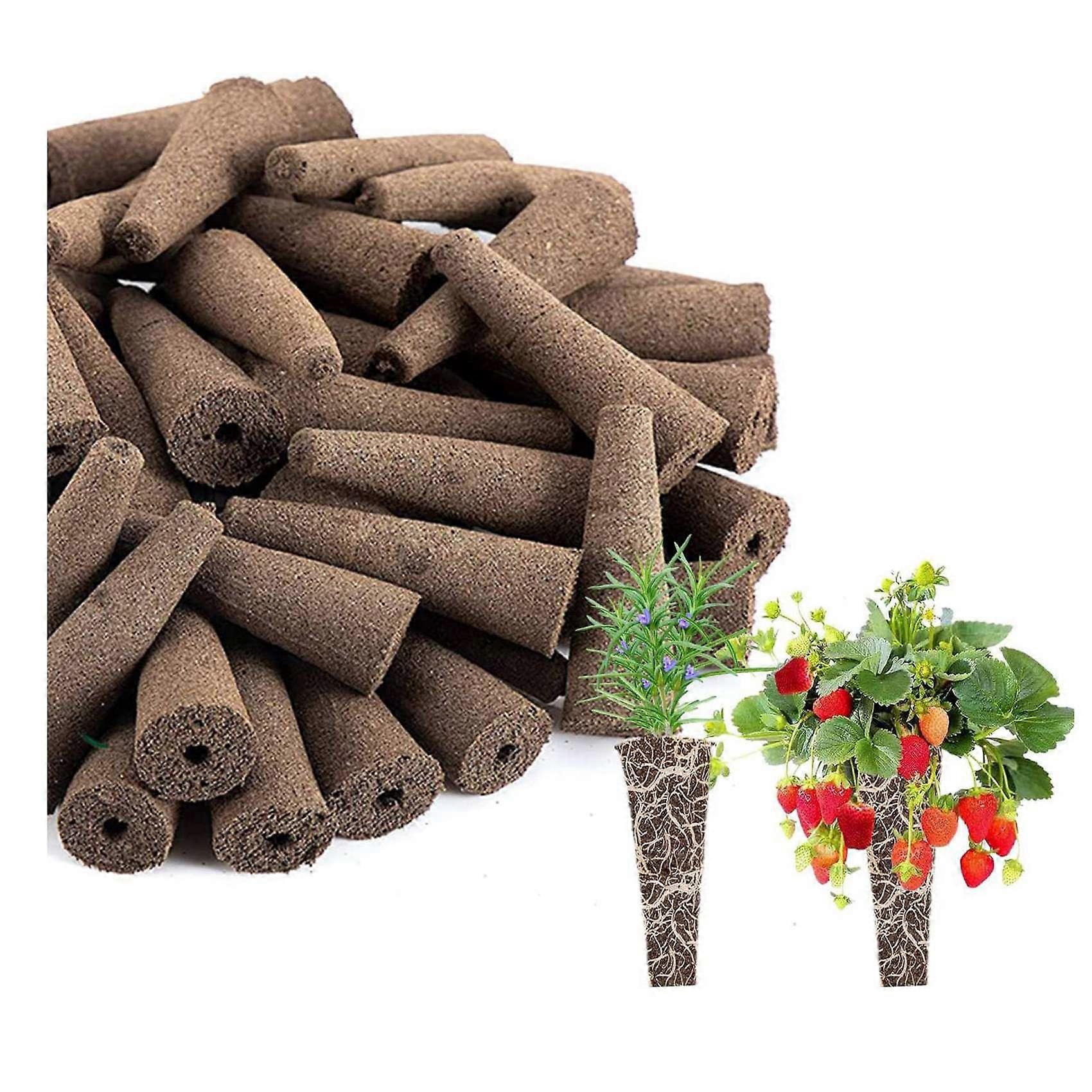 Image showcasing Grow Sponges for Use with AeroGarden, Eco-Friendly Plant Growing Plugs ...