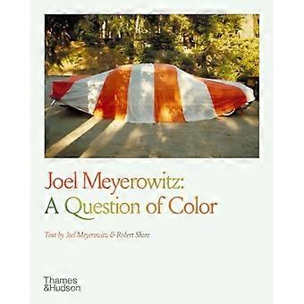 Joel Meyerowitz: Kwestia koloru