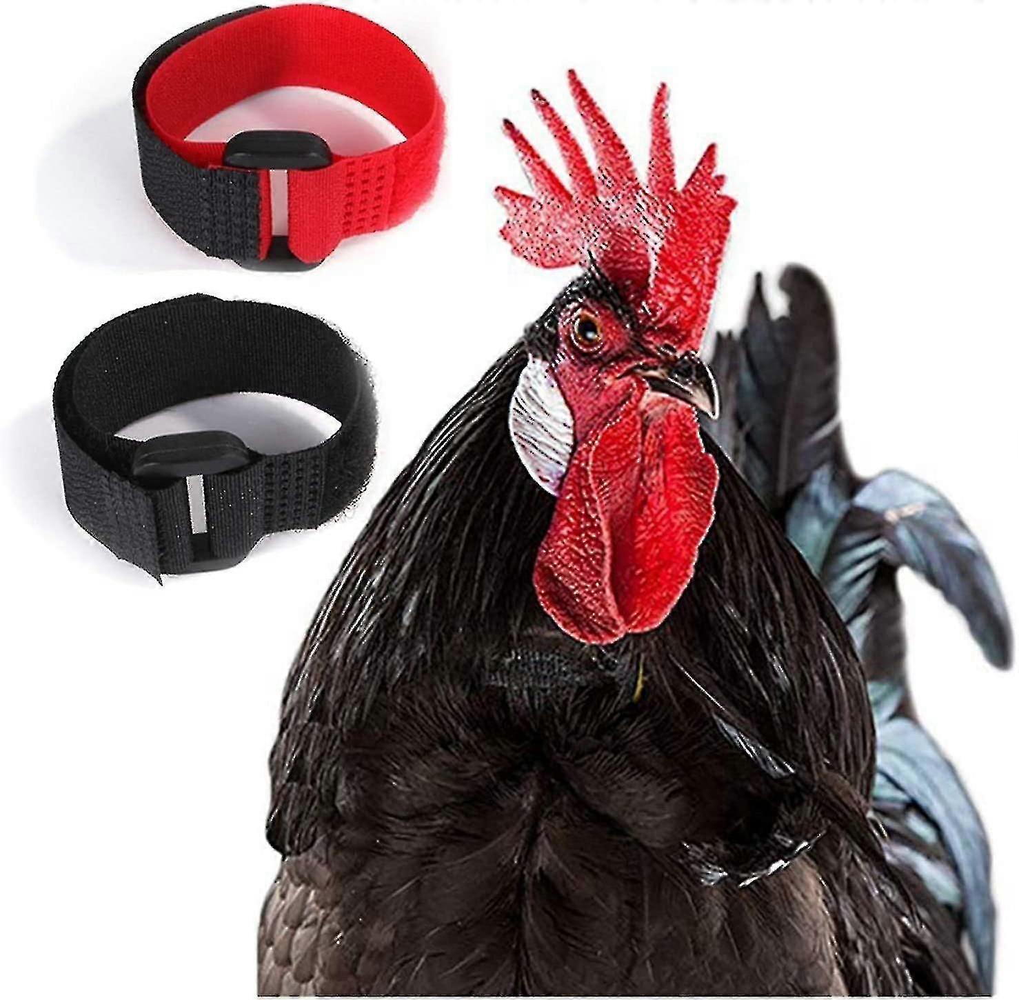 Anti Hook Rooster Collar Adjustable Chicken Collar Prevent Chicken Screaming