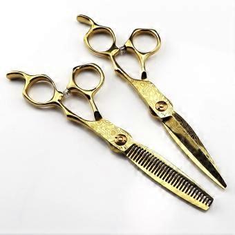 Professional Hair Cutting Scissors Set 6 Inch Japanese Stainless Steel Barber Shears with Precision Blades