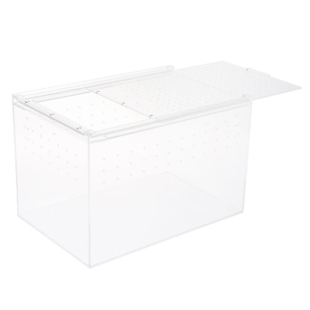 Reptile Tank