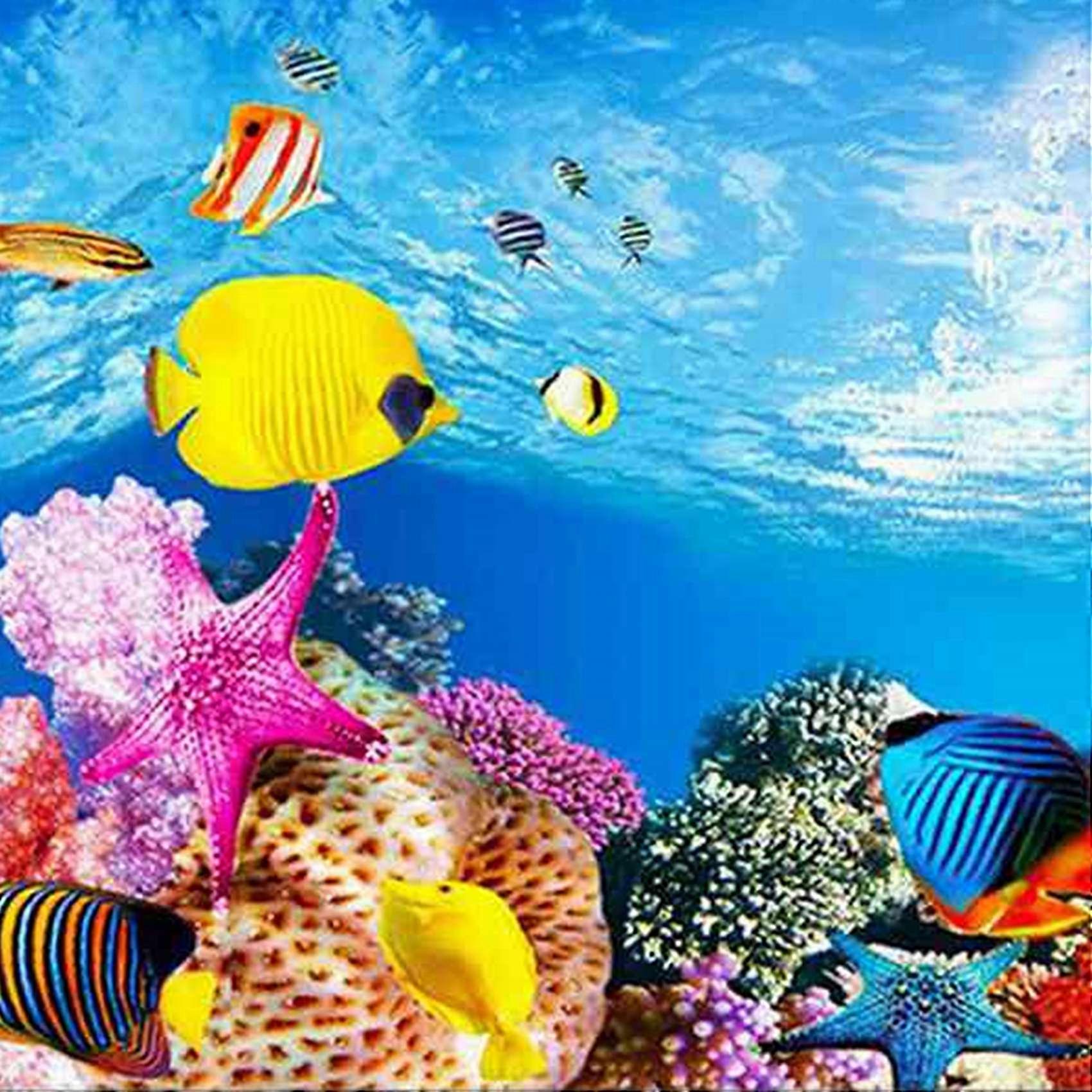 Hd Aquarium Background
