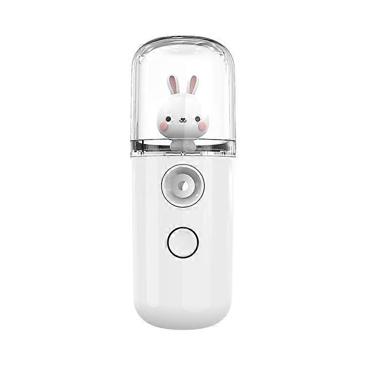 Facial Mister Spray Mist Sprayer Atomization