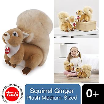 Squirrel Scoiattolo Trudi Trudi Squirrel Ginger Soft Red Plush