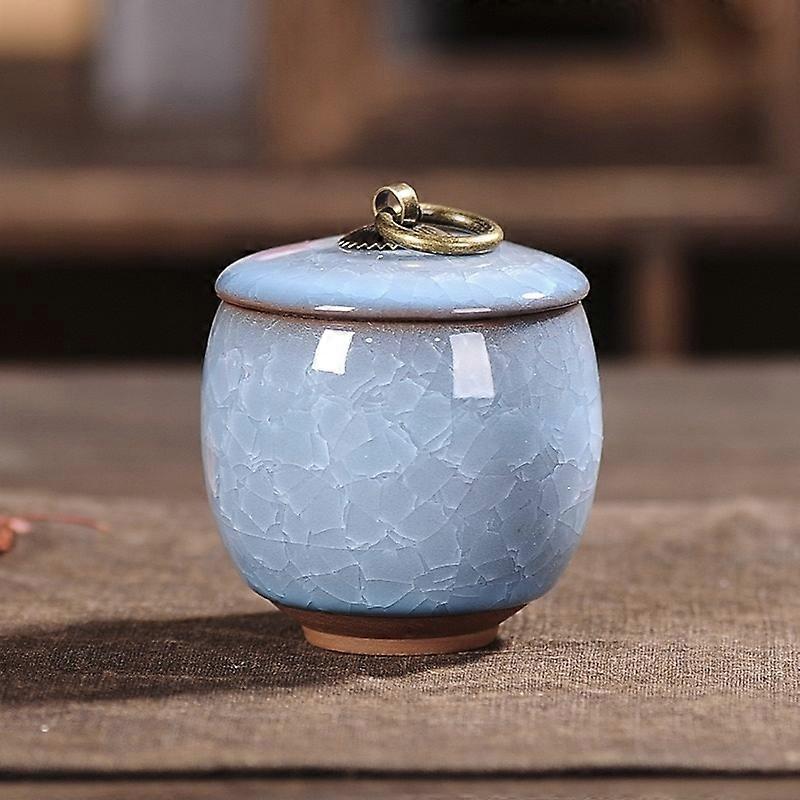 Pet Urn for Ashes Cat Mini Pet Memorial Stone Ceramics Urn for Cat Ashes Animal Funeral Urn Human Cremation Rabbits Pet Products 5