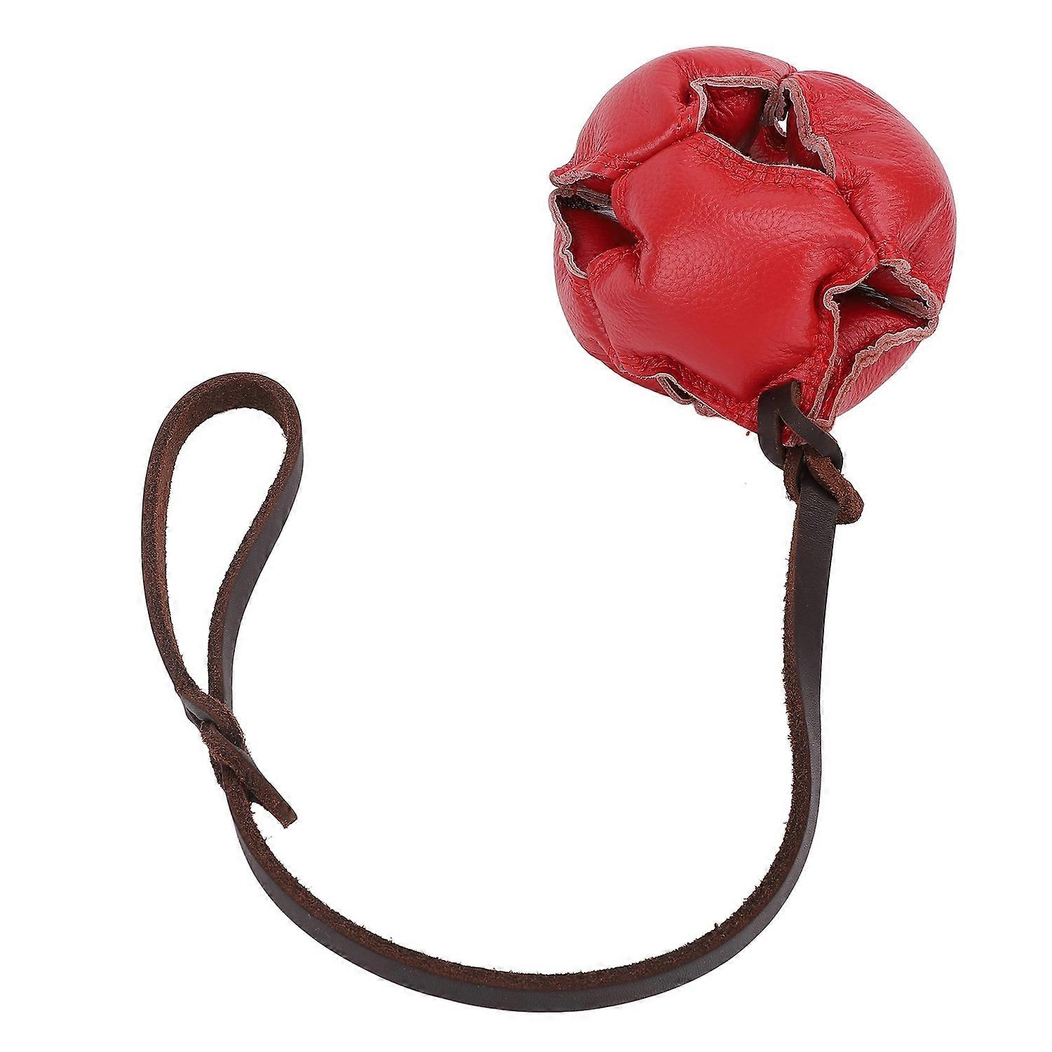 Dog Training Ball Release Energy Reduce Anxiety Interactive Exercise and Reward Ball On Rope Toy for