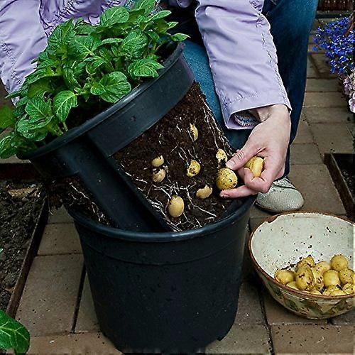 Pota Topot Propagation Kit for Plant Propagation Indoor Gardening Beginner Friendly Cloning Tools