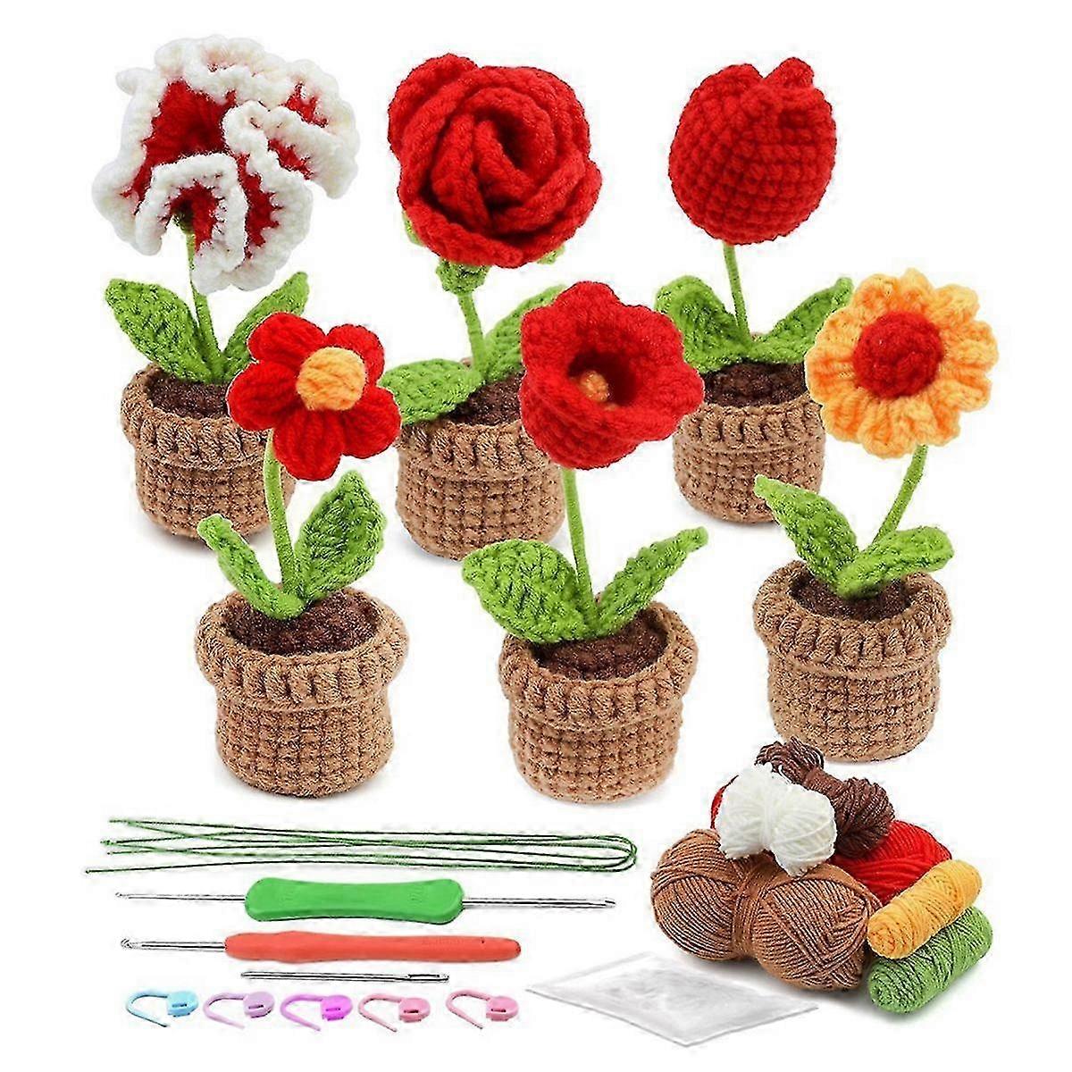 Complete Crochet Kit for Beginners,6 Pcs Crochet Potted Flowers Kit with Step-By-Step Instructions