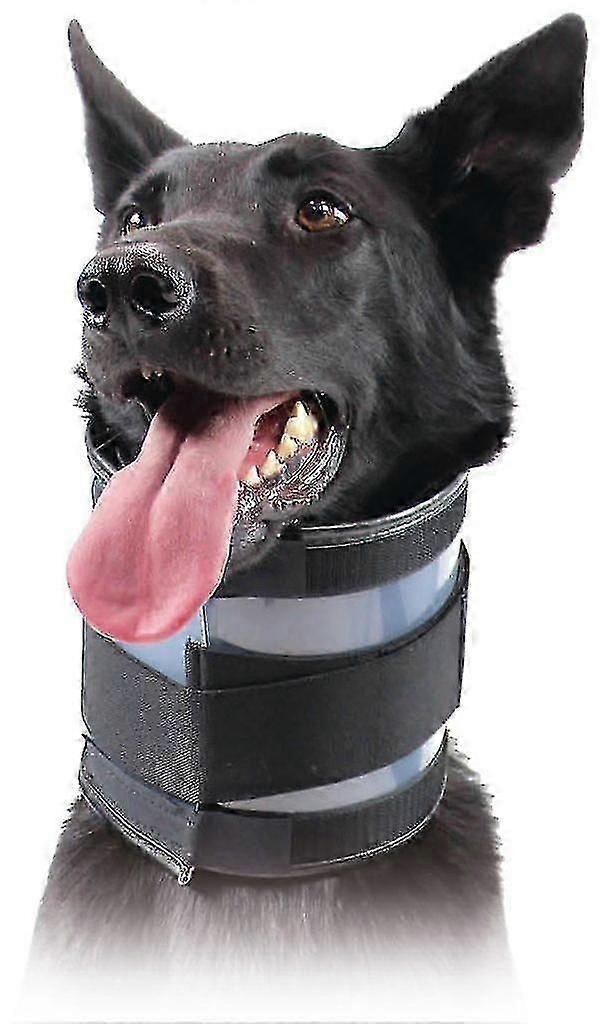 For KVP Bite Free Recovery Collar for Dogs