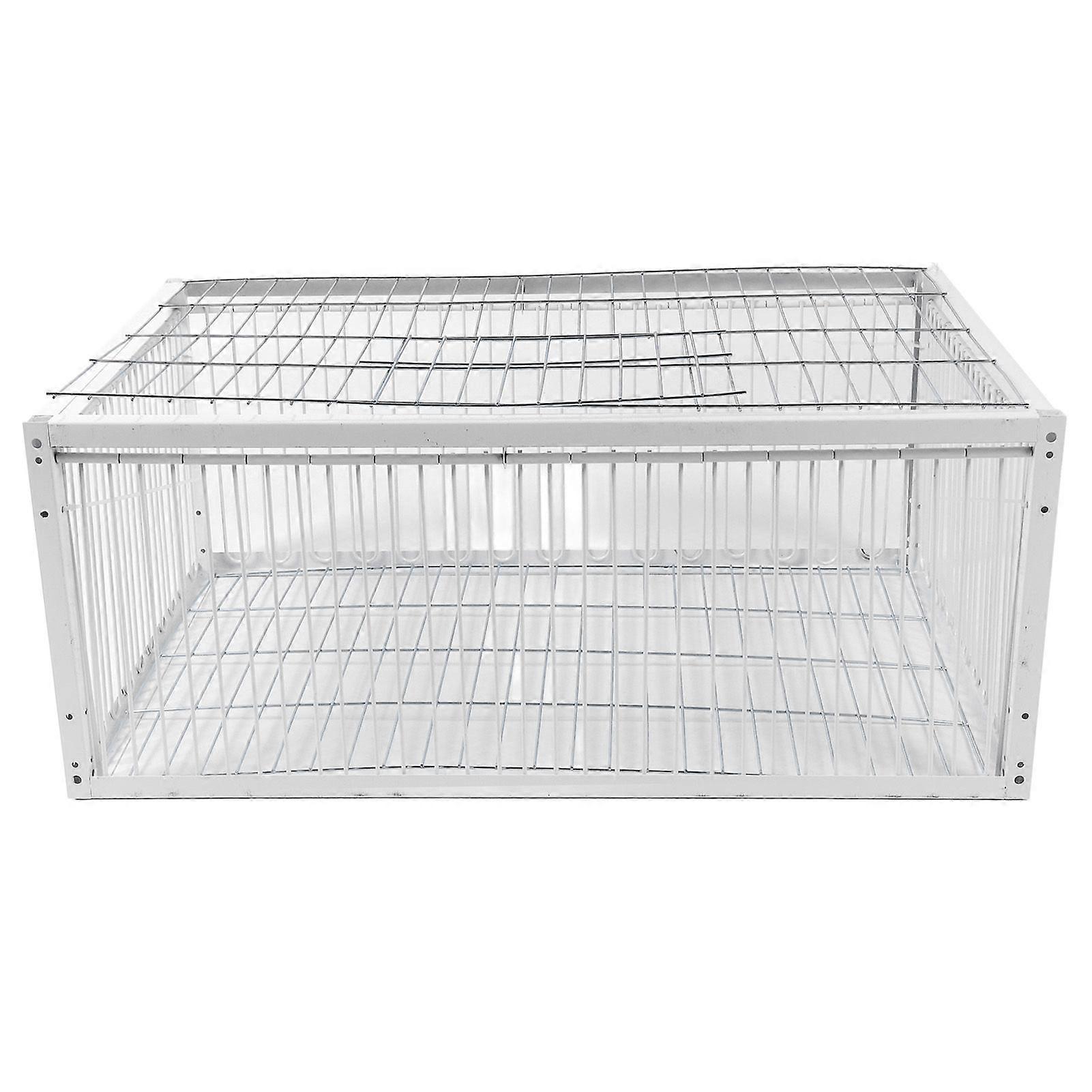 Bird Trap Cage Single Way Entry Sturdy Rust Resistant Versatile Portable Escape Proof Animal Trap Cage for Farm Garden Warehouses Garage Medium: 70 X
