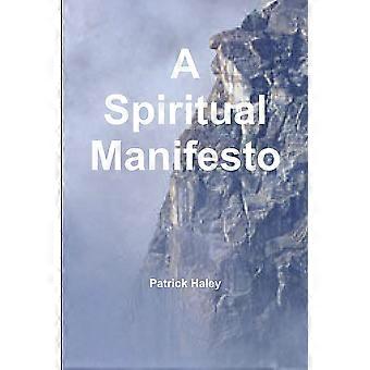 A Spiritual Manifesto - Patrick Haley - Paperback - en Book
