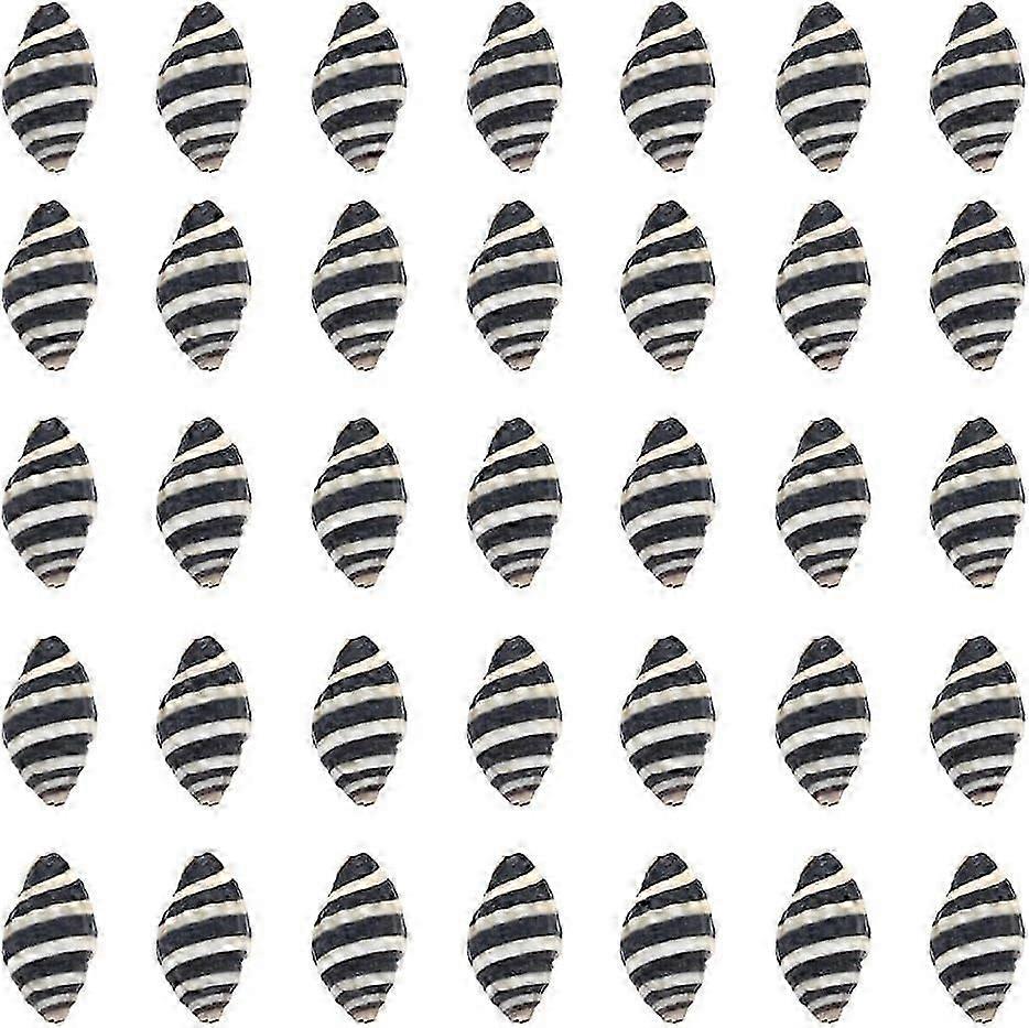 1 Box 50Pcs Spiral Shells Small Spiral Seashells Vase Fillers Zebra Pattern Hawaii Style Sea Ocean Beach Black White Conch Un-Drilled No Hole Shells f