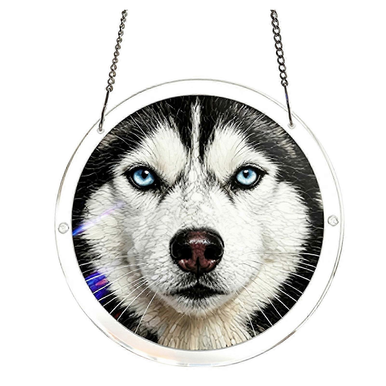 7.48 Inch Light Refracting Puzzle