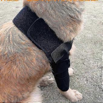 Dog Elbow Brace for Shoulders, Front Legs, Dislocations, Pressure Sores, Injuries, Arthritis, Stability Loss (L)-bj