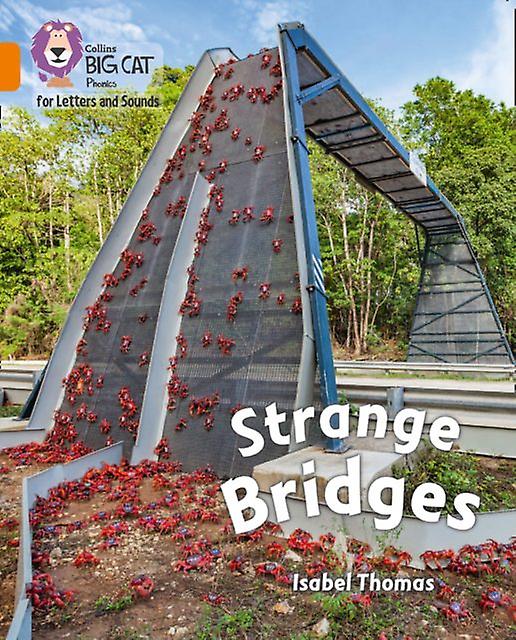 Strange Bridges by Isabel Thomas Paperback