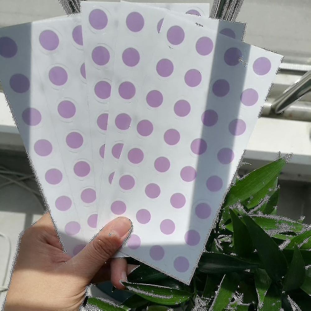 200pcs Photochromic Self-adhesive Labels, Photochromic Labels, Uv Color-changing Stickers