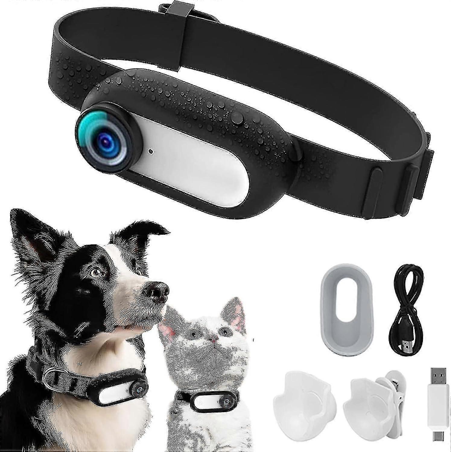 Hd 1080p Dog Tracker Collar,no Wifi Needed Cat Collars,sport/action Camera With Video Records,mini