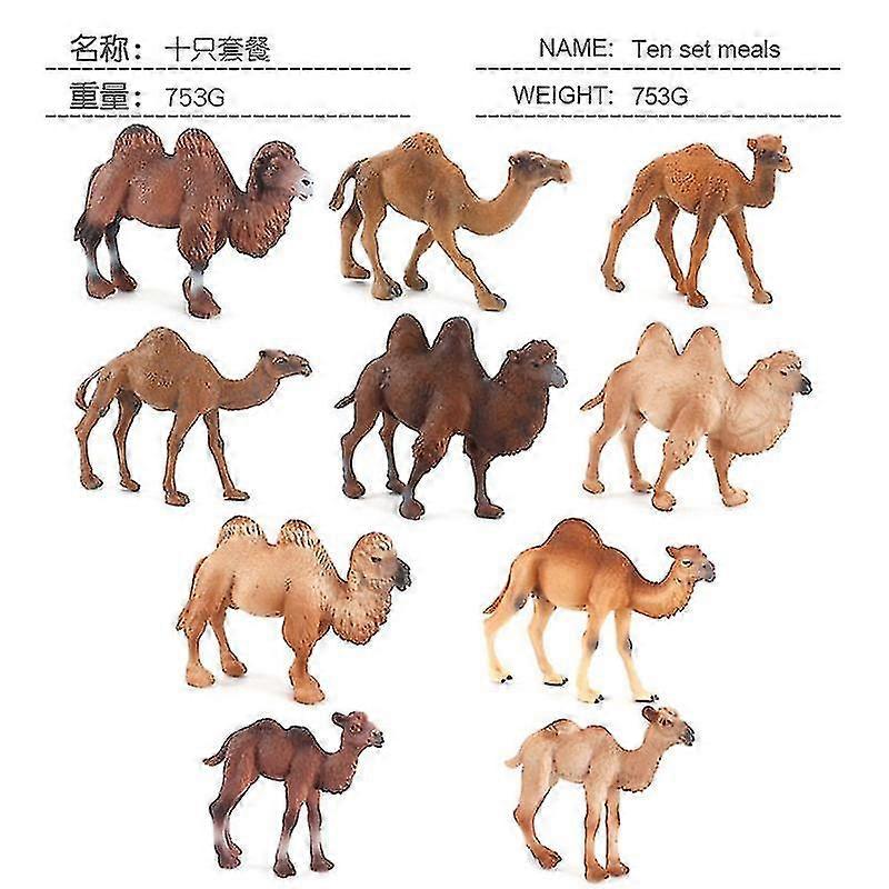 2024 10 Camel 753g# Desert Simulation Animal Solid Large Camel Model Ornament Wild Animal Double-dromedary Camel Set Toy