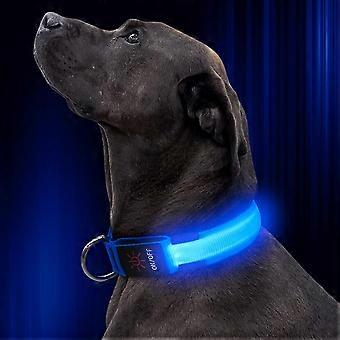 LED Dog Collar, Adjustable Nylon Webbing Glowing Pet Safety Collar, USB Rechargeable Light Up Collars for Your Dogs (Blue, Large)