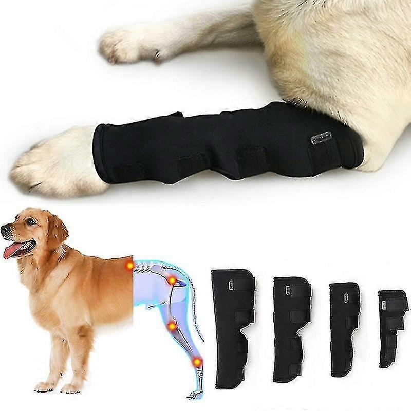 hock brace supportive rear compression wrap pd60041 protects doglemi