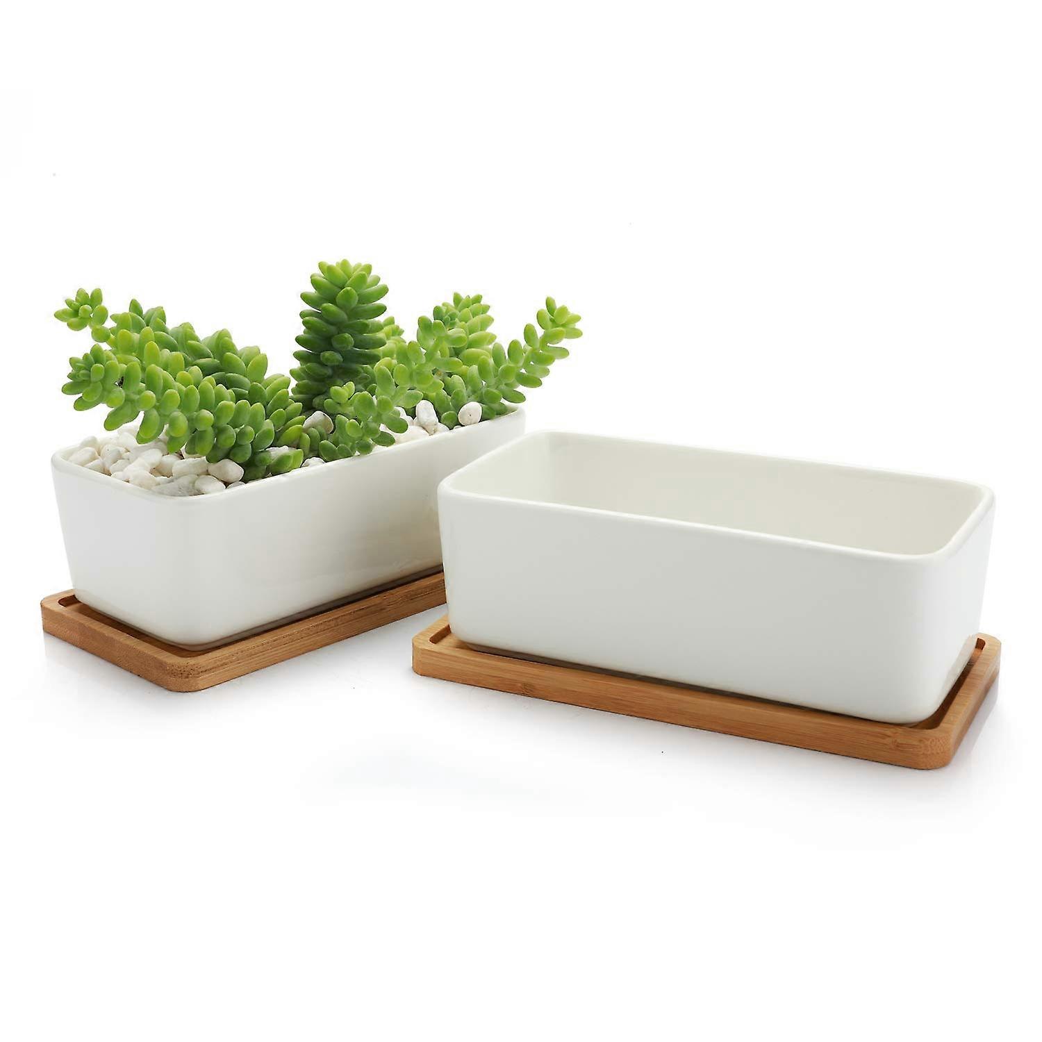 Small white meat with bamboo tray, ceramic rectangular cactus plant holder container
