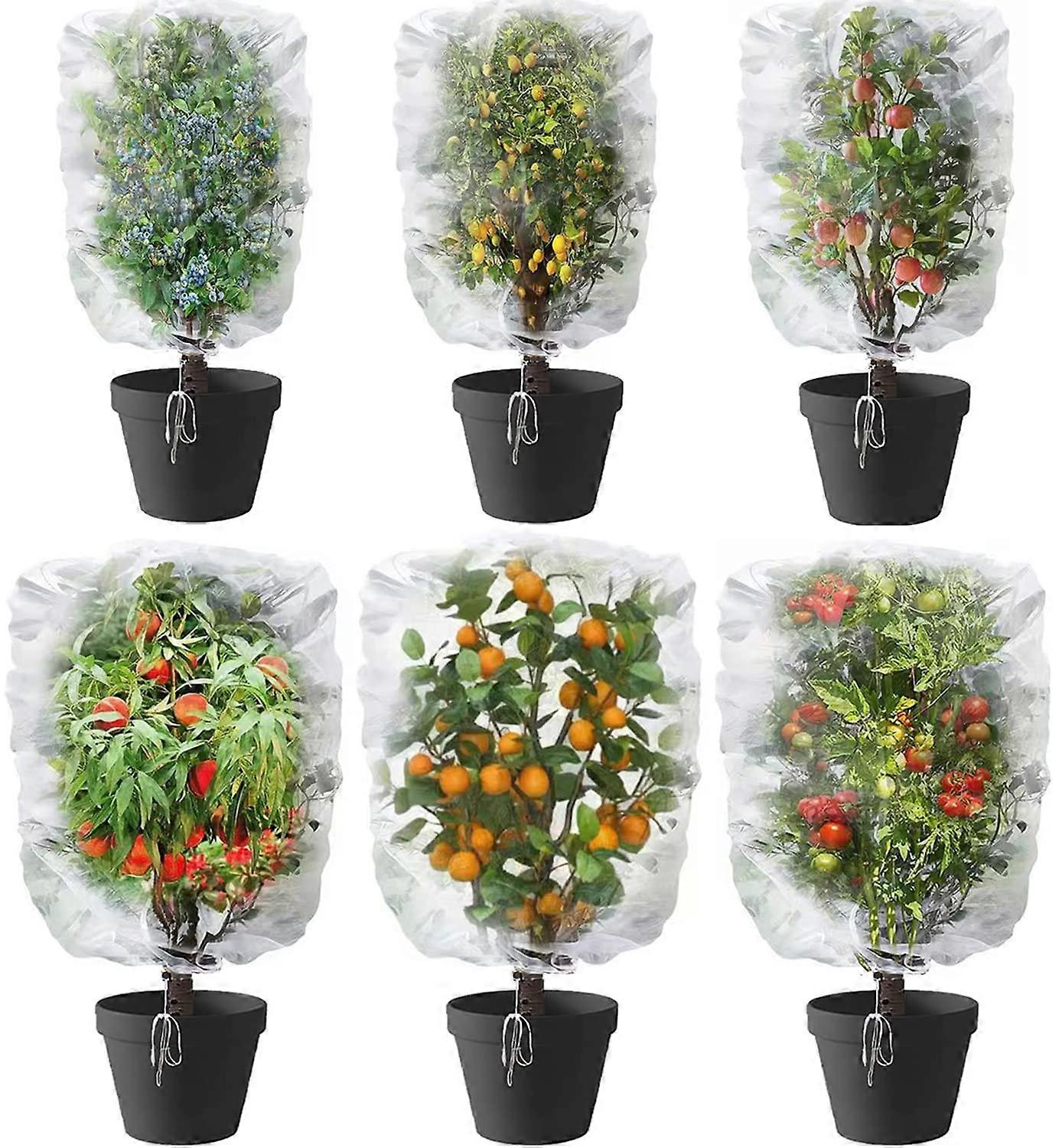 6 PCS Garden Netting Pest Barrier for Fruit Tree Netting and Insect Netting 3.3 FT x 4.9 Ft + 3.9 FT x 4.9 Ft