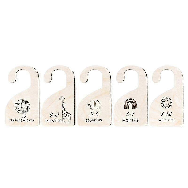 Closet Dividers Clothes Izers New Remembrance