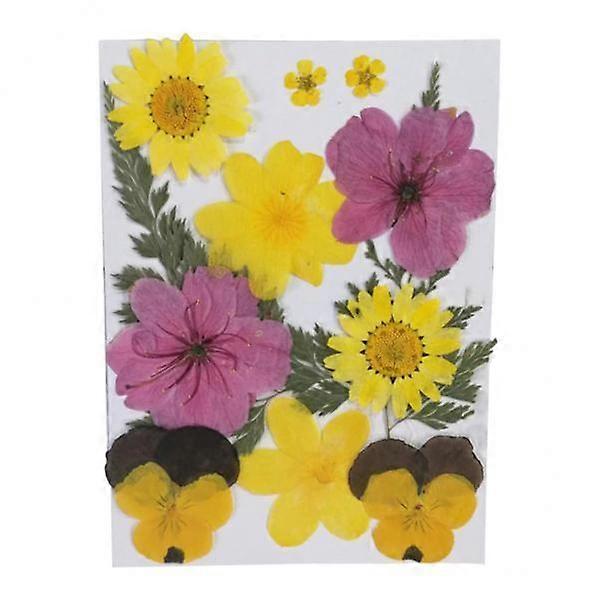 3x Real Dried Flowers Pressed Leaves Cherry