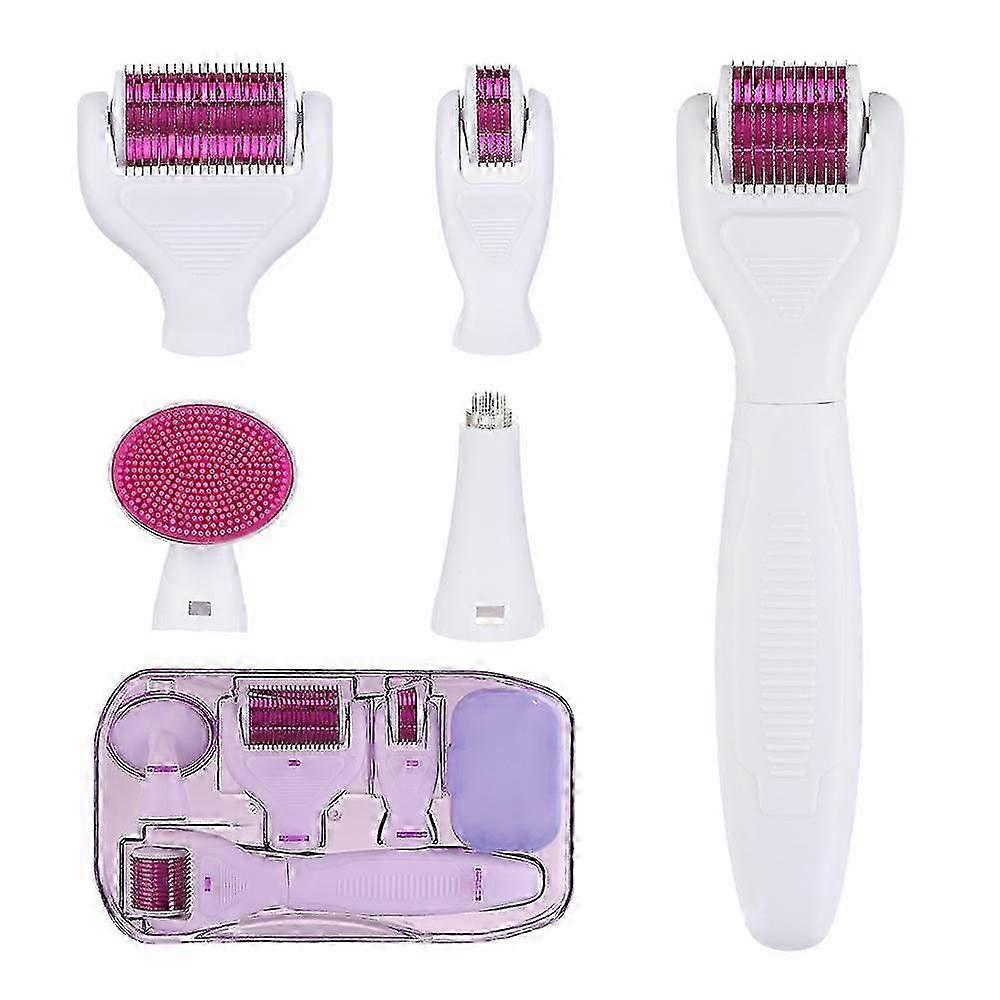 6 in 1 Derma Roller System Facial Treatment Multi-function Beard Roller For Hair Growth