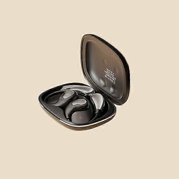 Übersetzungskopfhörer, 2 Stück, Zwei-Wege-Echtzeitübersetzung in 144 Sprachen