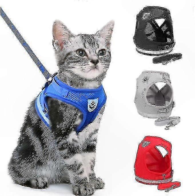 Secure Outdoor Cat Harness for Safe Adventures